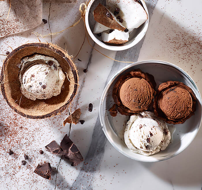 Çikolata ve Hindistan Cevizli Dondurma 